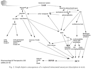 Pharmacology & Therapeutics 105 (2005) 23–56 