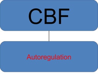 CBF 临床决策判断思路 CBF Autoregulation 