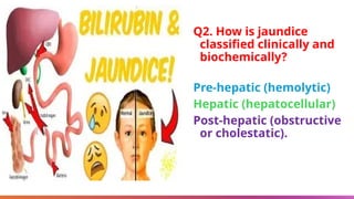 Jaundice Management Racgp Comprehensive Clinical Approach to Jaundice: Diagnosis and Management ...