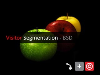 Visitor Segmentation - BSD
