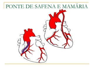 PONTE DE SAFENA E MAMÁRIA 