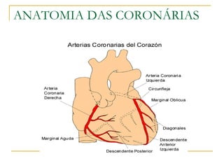ANATOMIA DAS CORONÁRIAS 