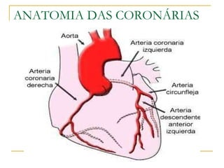 ANATOMIA DAS CORONÁRIAS 