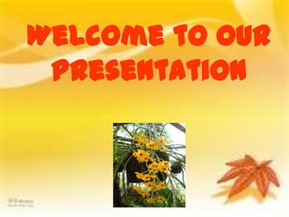 Welcome to our
 presentation
 