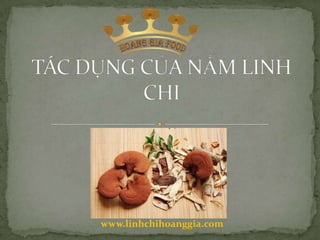 www.linhchihoanggia.com
 
