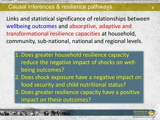 Technical Consortium Theme 3: Monitoring and evaluation for enhanced resilience—Summary review and key emergent issues