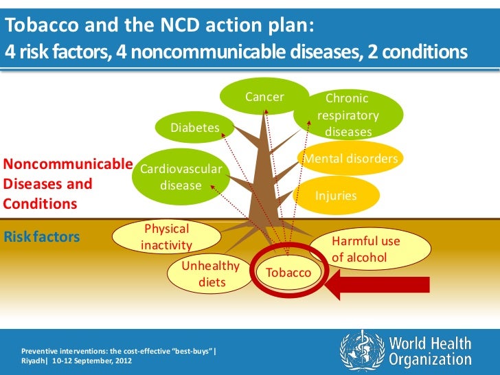 High Food Cost Action Plan High Food Cost Action Plan