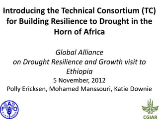 Introducing the Technical Consortium (TC)
 for Building Resilience to Drought in the
               Horn of Africa

              Global Alliance
  on Drought Resilience and Growth visit to
                  Ethiopia
                  5 November, 2012
 Polly Ericksen, Mohamed Manssouri, Katie Downie
 
