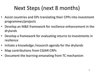 Next Steps (next 8 months)
• Assist countries and DPs translating their CPPs into investment
  programmes/projects
• Devel...