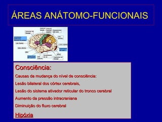 ÁREAS ANÁTOMO-FUNCIONAIS
Consciência:Consciência:
Causas da mudança do nível de consciência:Causas da mudança do nível de consciência:
Lesão bilateral dos córtex cerebrais,Lesão bilateral dos córtex cerebrais,
Lesão do sistema ativador reticular do tronco cerebralLesão do sistema ativador reticular do tronco cerebral
Aumento da pressão intracranianaAumento da pressão intracraniana
Diminuição do fluxo cerebralDiminuição do fluxo cerebral
HipóxiaHipóxia
 