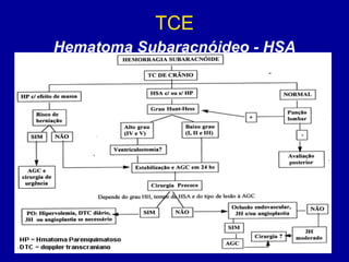 TCE
Hematoma Subaracnóideo - HSA
 