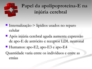 Papel da apolipoproteína-E na injúria cerebral Internalização-> lipídios usados no reparo celular Após injúria cerebral aguda aumenta expressão de apo-E de astrócito e receptor LDL neuronal Humanos: apo-E2, apo-E3 e apo-E4 Quantidade varia entre os indivíduos e entre as etnias  