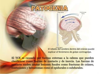 El rebote del cerebro dentro del cráneo puede
                             explicar el fenómeno de golpe-contragolpe.

El TCE es causado por fuerzas externas a la cabeza que pueden
clasificarse como fuerzas de contacto y de inercia. Las fuerzas de
contacto suelen causar lesiones focales como fracturas de cráneo,
contusiones y hematomas como el epidurales o subdurales.
 