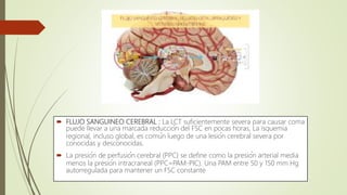  FLUJO SANGUINEO CEREBRAL : La LCT suficientemente severa para causar coma
puede llevar a una marcada reducción del FSC en pocas horas, La isquemia
regional, incluso global, es común luego de una lesión cerebral severa por
conocidas y desconocidas.
 La presión de perfusión cerebral (PPC) se define como la presión arterial media
menos la presión intracraneal (PPC=PAM-PIC). Una PAM entre 50 y 150 mm Hg
autorregulada para mantener un FSC constante
 
