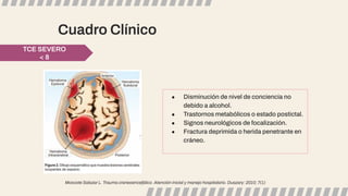 Cuadro Clínico
● Disminución de nivel de conciencia no
debido a alcohol.
● Trastornos metabólicos o estado postictal.
● Signos neurológicos de focalización.
● Fractura deprimida o herida penetrante en
cráneo.
TCE SEVERO
< 8
Moscote Salazar L. Trauma craneoencefálico. Atención inicial y manejo hospitalario. Duazary: 2010; 7(1)
 
