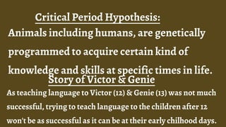 Critical Period Hypothesis:
Story of Victor & Genie
Animals including humans, are genetically
programmed to acquire certain kind of
knowledge and skills at specific times in life.
As teaching language to Victor (12) & Genie (13) was not much
successful, trying to teach language to the children after 12
won't be as successful as it can be at their early chilhood days.
 
