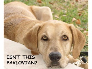 ISN’T THIS
PAVLOVIAN?
 