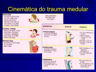 Cinemática do trauma medular
 