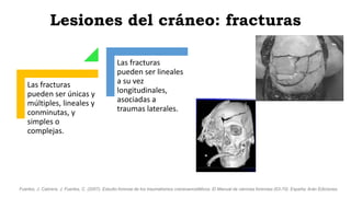 Lesiones del cráneo: fracturas
Las fracturas
pueden ser únicas y
múltiples, lineales y
conminutas, y
simples o
complejas.
Las fracturas
pueden ser lineales
a su vez
longitudinales,
asociadas a
traumas laterales.
Fuertes, J. Cabrera, J. Fuertes, C. (2007). Estudio forense de los traumatismos craneoencefálicos. El Manual de ciencias forenses (63-70). España: Arán Ediciones.
 