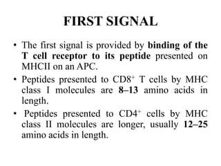 FIRST SIGNAL
• The first signal is provided by binding of the
T cell receptor to its peptide presented on
MHCII on an APC.
• Peptides presented to CD8+ T cells by MHC
class I molecules are 8–13 amino acids in
length.
• Peptides presented to CD4+ cells by MHC
class II molecules are longer, usually 12–25
amino acids in length.
 