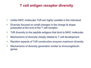 Unlike MHC molecules TcR are highly variable in the individual Diversity focused on small changes in the charge & shape presented at the end of the T cell receptor.  TcR diversity to the peptide antigens that bind to MHC molecules Mechanisms of diversity closely related to T cell development Random aspects of TcR construction ensures maximum diversity Mechanisms of diversity generation similar to immunoglobulin genes T cell antigen receptor diversity 