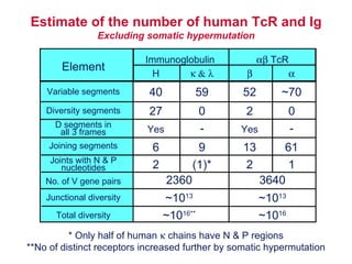 Element Immunoglobulin    TcR Variable segments Diversity segments D segments in all 3 frames Joining segments Joints with N & P nucleotides No. of V gene pairs Junctional diversity Total diversity H    40 27 Yes 6 2 2360 3640 ~10 13 ~10 13 ~10 16** ~10 16 59 0 - 9 (1)* 52 ~70 2 0 Yes - 13 61 2 1 * Only half of human    chains have N & P regions **No of distinct receptors increased further by somatic hypermutation Estimate of the number of human TcR and Ig Excluding somatic hypermutation 