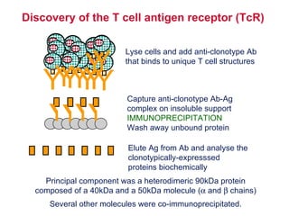 Tcr Component T Cell Antigen Receptor | PPT