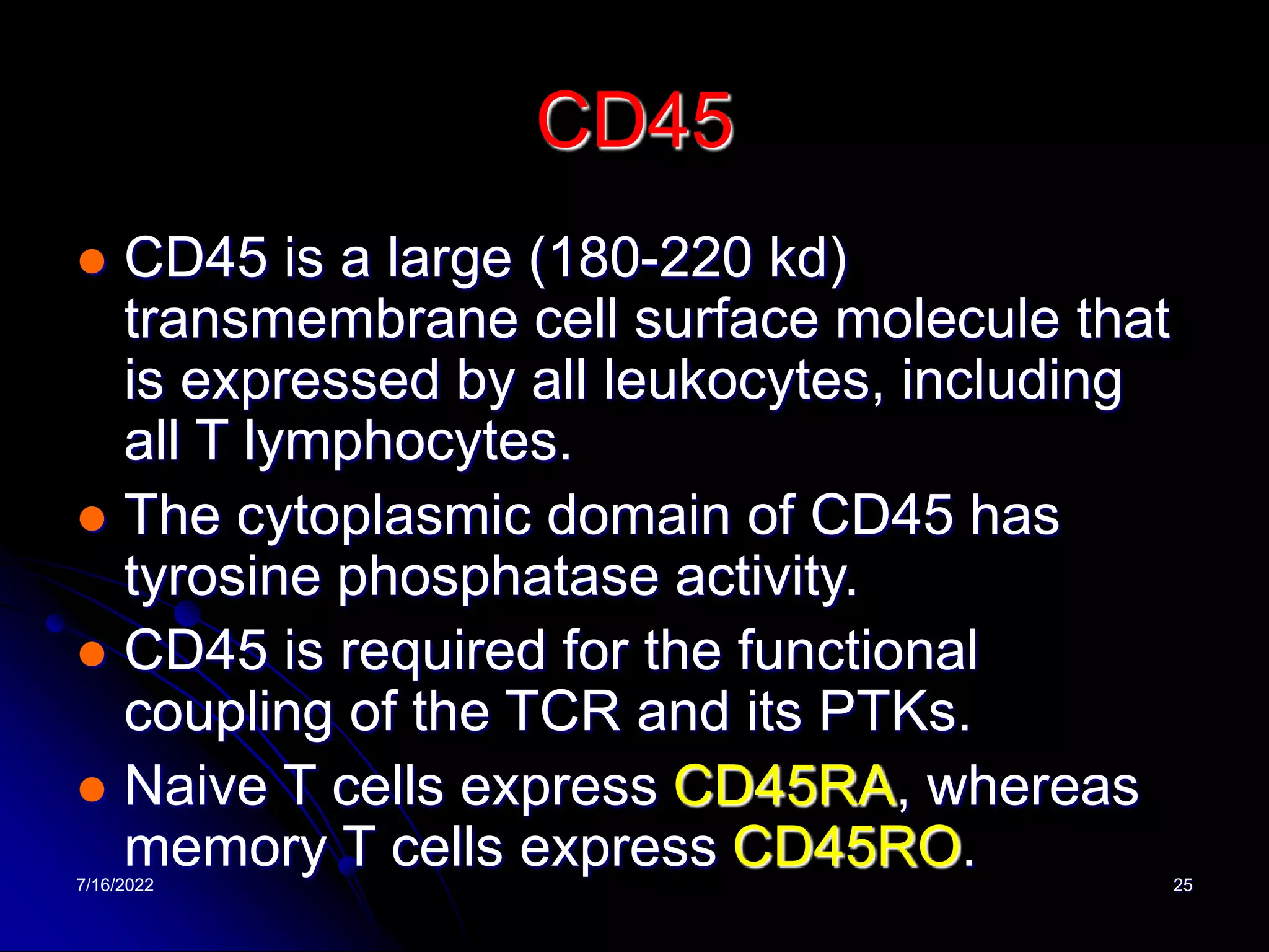 7/16/2022 25
CD45
 CD45 is a large (180-220 kd)
transmembrane cell surface molecule that
is expressed by all leukocytes, including
all T lymphocytes.
 The cytoplasmic domain of CD45 has
tyrosine phosphatase activity.
 CD45 is required for the functional
coupling of the TCR and its PTKs.
 Naive T cells express CD45RA, whereas
memory T cells express CD45RO.
 