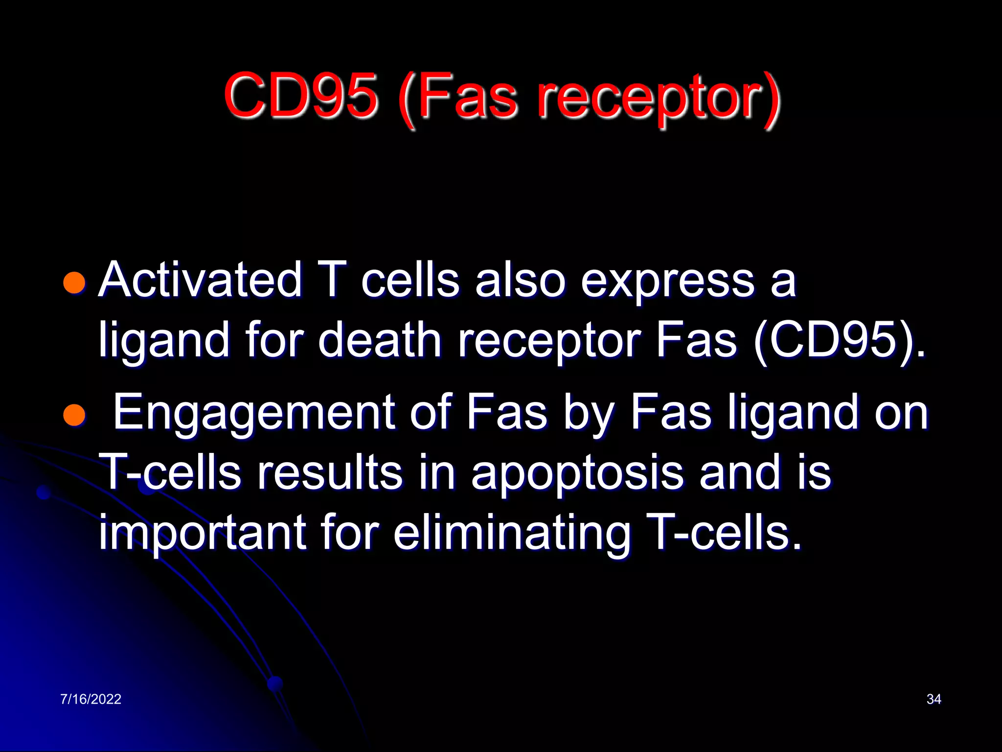 7/16/2022 34
CD95 (Fas receptor)
 Activated T cells also express a
ligand for death receptor Fas (CD95).
 Engagement of Fas by Fas ligand on
T-cells results in apoptosis and is
important for eliminating T-cells.
 