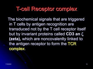 7/16/2022 14
T-cell Receptor complex
The biochemical signals that are triggered
in T cells by antigen recognition are
transduced not by the T cell receptor itself
but by invariant proteins called CD3 an z
(zeta), which are noncovalenlty linked to
the antigen receptor to form the TCR
complex.
 