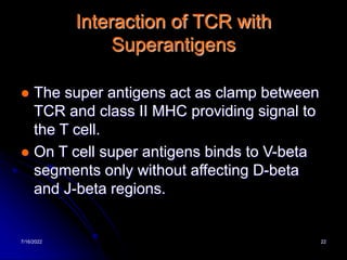 7/16/2022 22
Interaction of TCR with
Superantigens
 The super antigens act as clamp between
TCR and class II MHC providing signal to
the T cell.
 On T cell super antigens binds to V-beta
segments only without affecting D-beta
and J-beta regions.
 