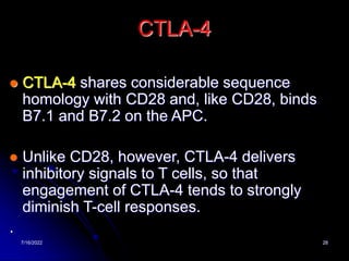7/16/2022 28
CTLA-4
 CTLA-4 shares considerable sequence
homology with CD28 and, like CD28, binds
B7.1 and B7.2 on the APC.
 Unlike CD28, however, CTLA-4 delivers
inhibitory signals to T cells, so that
engagement of CTLA-4 tends to strongly
diminish T-cell responses.
.
 
