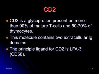 7/16/2022 29
CD2
 CD2 is a glycoprotien present on more
than 90% of mature T-cells and 50-70% of
thymocytes.
 This molecule contains two extracellular Ig
domains.
 The principle ligand for CD2 is LFA-3
(CD58).
 
