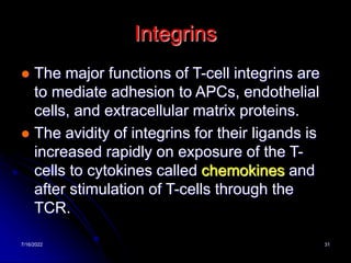 7/16/2022 31
Integrins
 The major functions of T-cell integrins are
to mediate adhesion to APCs, endothelial
cells, and extracellular matrix proteins.
 The avidity of integrins for their ligands is
increased rapidly on exposure of the T-
cells to cytokines called chemokines and
after stimulation of T-cells through the
TCR.
 