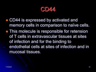7/16/2022 33
CD44
 CD44 is expressed by activated and
memory cells in comparison to naïve cells.
 This molecule is responsible for retension
of T cells in extravascular tissues at sites
of infection and for the binding to
endothelial cells at sites of infection and in
mucosal tissues.
 