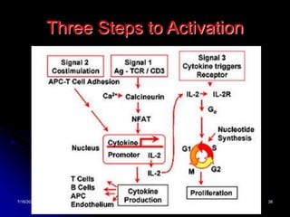 7/16/2022 38
Three Steps to Activation
 