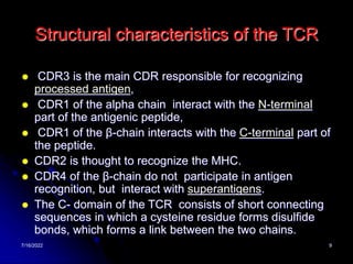 7/16/2022 9
Structural characteristics of the TCR
 CDR3 is the main CDR responsible for recognizing
processed antigen,
 CDR1 of the alpha chain interact with the N-terminal
part of the antigenic peptide,
 CDR1 of the β-chain interacts with the C-terminal part of
the peptide.
 CDR2 is thought to recognize the MHC.
 CDR4 of the β-chain do not participate in antigen
recognition, but interact with superantigens.
 The C- domain of the TCR consists of short connecting
sequences in which a cysteine residue forms disulfide
bonds, which forms a link between the two chains.
 