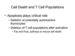 Cell Death and T Cell Populations
• Apoptosis plays critical role
– Deletion of potentially autoreactive
thymocytes
– Deletion of T cell populations after activation
• Fas and FasL pathway to induce self death
 