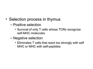 • Selection process in thymus
– Positive selection
• Survival of only T cells whose TCRs recognize
self-MHC molecules
– Negative selection
• Eliminates T cells that react too strongly with self
MHC or MHC with self-peptides
 