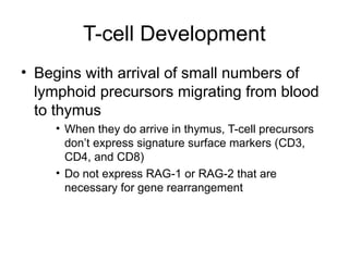 T-cell Development
• Begins with arrival of small numbers of
lymphoid precursors migrating from blood
to thymus
• When they do arrive in thymus, T-cell precursors
don’t express signature surface markers (CD3,
CD4, and CD8)
• Do not express RAG-1 or RAG-2 that are
necessary for gene rearrangement
 