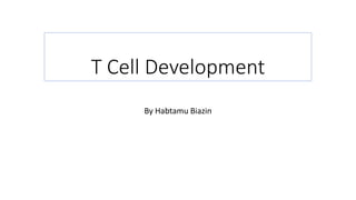 T Cell Development
By Habtamu Biazin
 