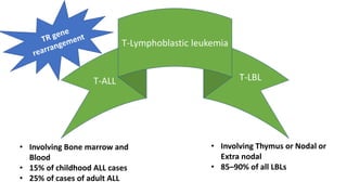 T-Lymphoblastic leukemia
T-ALL T-LBL
• Involving Bone marrow and
Blood
• 15% of childhood ALL cases
• 25% of cases of adult ALL
• Involving Thymus or Nodal or
Extra nodal
• 85–90% of all LBLs
 