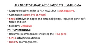 ALK NEGATIVE ANAPLASTIC LARGE CELL LYMPHOMA
• Morphologically similar to ALK +ALCL but is ALK negative.
• Common in Adults (40-65 years)
• Sites: Both lymph nodes and extra nodal sites, including bone, soft
tissue and skin
• Etiology : Unknown
PATHOPHYSIOLOGY:
• Recurrent rearrangement involving the TP63 gene
• STAT3 activating mutations
• DUSP22 rearrangements
 