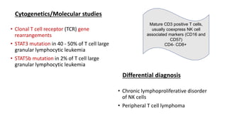 Cytogenetics/Molecular studies
• Clonal T cell receptor (TCR) gene
rearrangements
• STAT3 mutation in 40 - 50% of T cell large
granular lymphocytic leukemia
• STAT5b mutation in 2% of T cell large
granular lymphocytic leukemia
Differential diagnosis
• Chronic lymphoproliferative disorder
of NK cells
• Peripheral T cell lymphoma
Mature CD3 positive T cells,
usually coexpress NK cell
associated markers (CD16 and
CD57)
CD4- CD8+
 