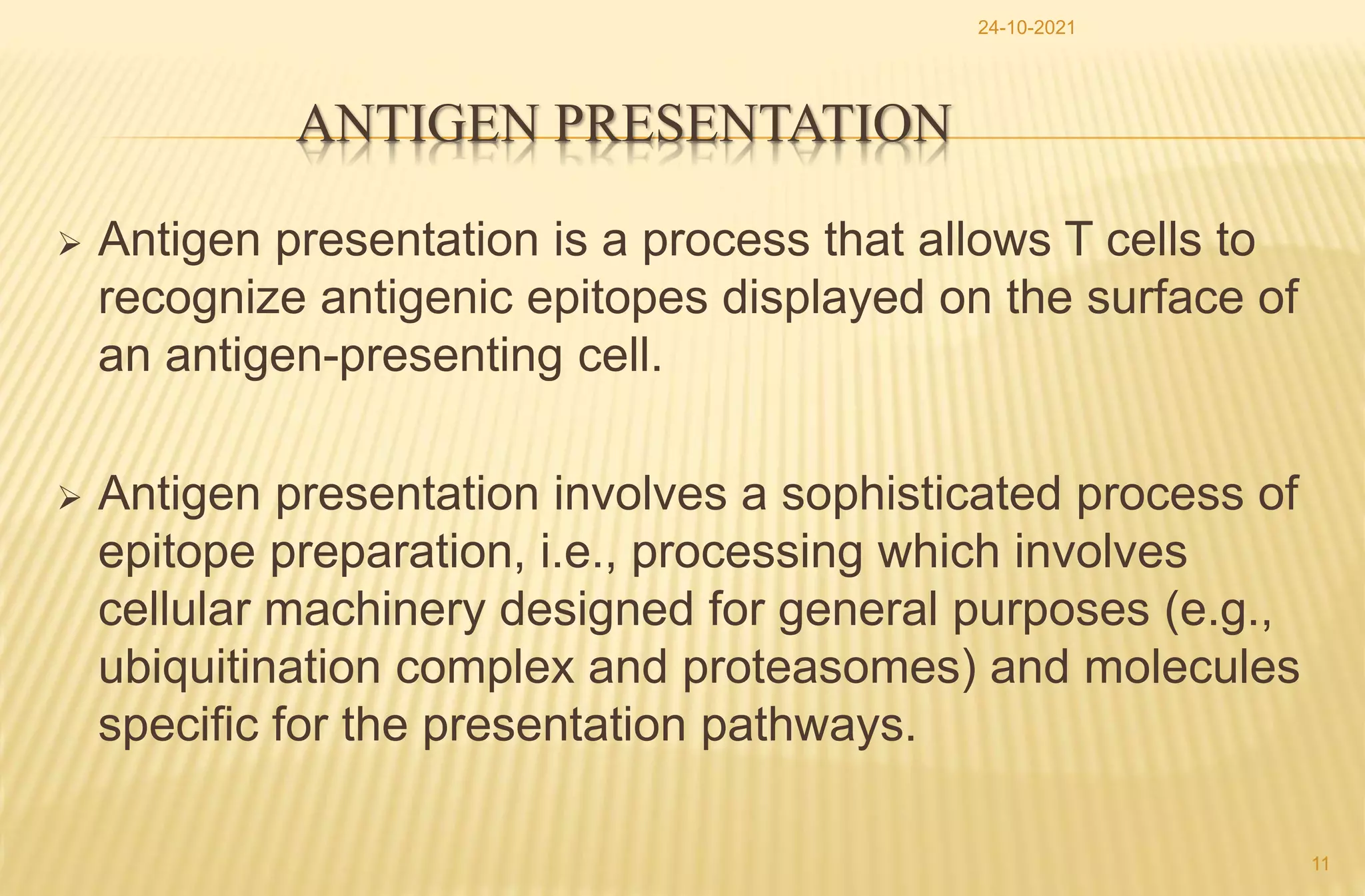 T cell maturation and antigen presentation | PPTX