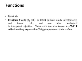 • Cytotoxic
• Cytotoxic T cells (TC cells, or CTLs) destroy virally infected cells
and tumor cells, and are also implicated
in transplant rejection. These cells are also known as CD8+ T
cells since they express the CD8 glycoprotein at their surface.
Functions
 
