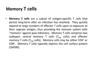Memory T cells
• Memory T cells are a subset of antigen-specific T cells that
persist long-term after an infection has resolved. They quickly
expand to large numbers of effector T cells upon re-exposure to
their cognate antigen, thus providing the immune system with
"memory" against past infections. Memory T cells comprise two
subtypes: central memory T cells (TCM cells) and effector
memory T cells (TEM cells). Memory cells may be either CD4+ or
CD8+. Memory T cells typically express the cell surface protein
CD45RO.
 
