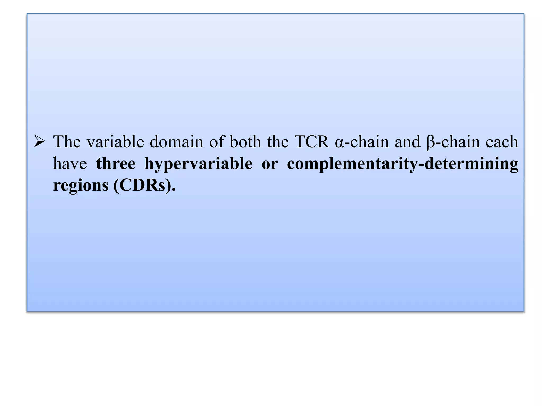 The variable domain of both the TCR α-chain and β-chain each
have three hypervariable or complementarity-determining
regions (CDRs).
 