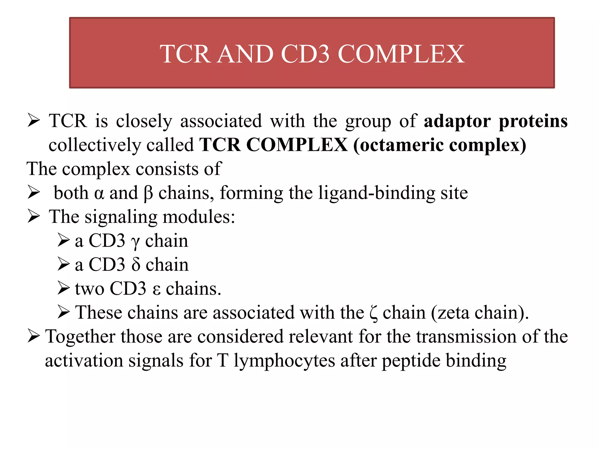  TCR is closely associated with the group of adaptor proteins
collectively called TCR COMPLEX (octameric complex)
The complex consists of
 both α and β chains, forming the ligand-binding site
 The signaling modules:
a CD3 γ chain
a CD3 δ chain
two CD3 ε chains.
These chains are associated with the ζ chain (zeta chain).
Together those are considered relevant for the transmission of the
activation signals for T lymphocytes after peptide binding
TCR AND CD3 COMPLEX
 