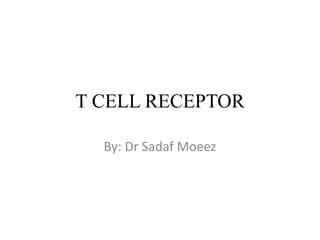 T CELL RECEPTOR
By: Dr Sadaf Moeez
 